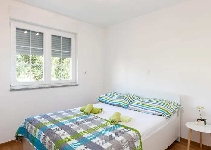 Borka - Regi * Medulin